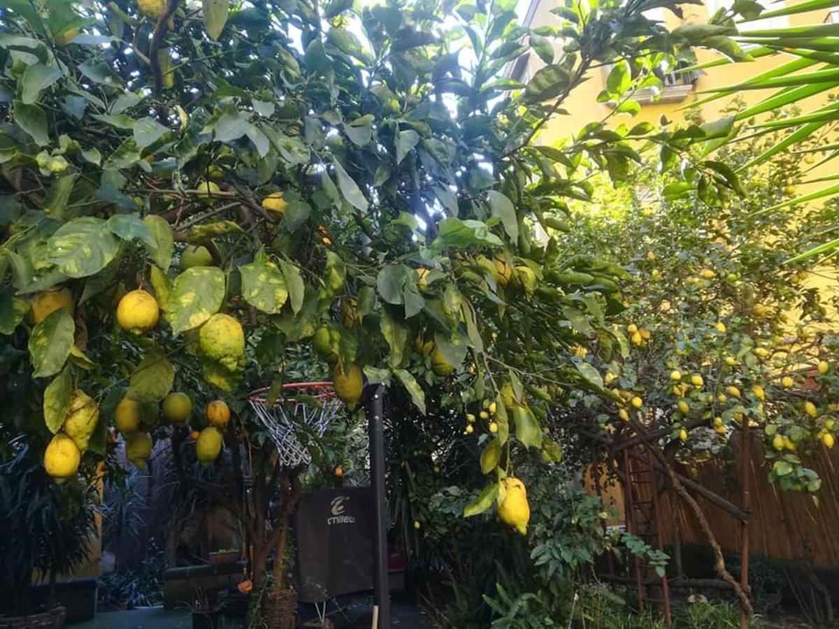 La Limonaia Di Chiaia Apartman Nápoly Kültér fotó